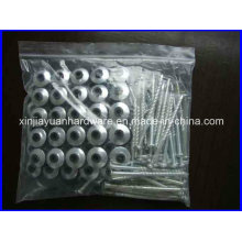 Hot Selling Africa Market Roof Screw with Washer